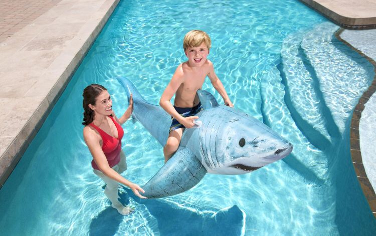 gran tiburon blanco 183 x 102 cm